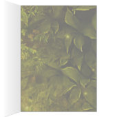 high lady of compassion cards (Inside (Right))