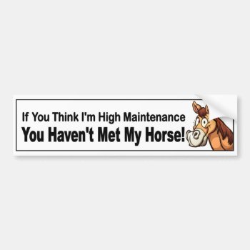 High Maintenance Happy Cartoon Brown Horse Funny Bumper Sticker by Stickies at Zazzle