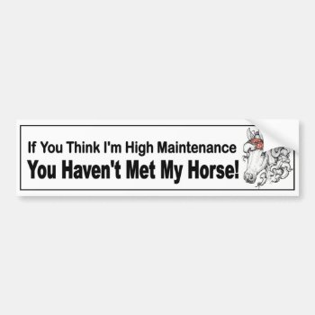 High Maintenance Horse With Filly In Bow Funny Bumper Sticker by Stickies at Zazzle