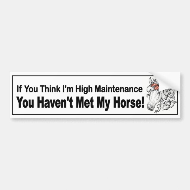 high maintenance horse with filly in bow funny bumper sticker (Front)