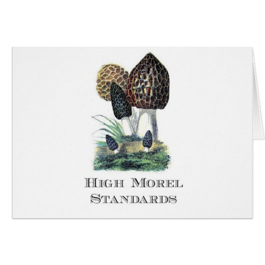 High Morel Standards Cards (Front Horizontal)