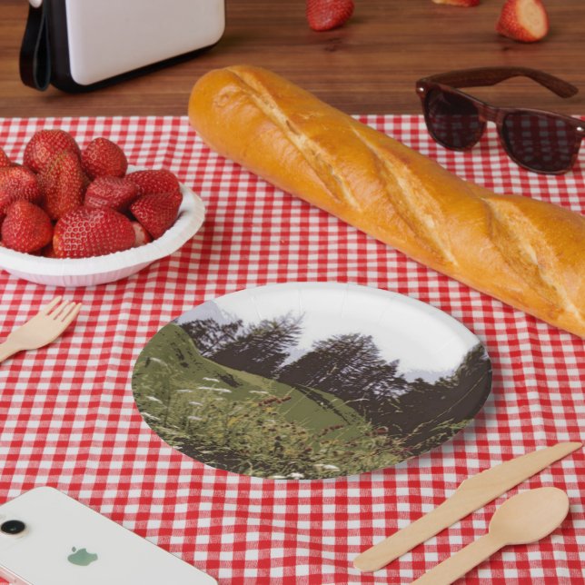 High Mountain Paradise paper plates (Picnic)