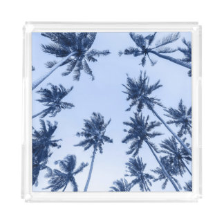 High palm trees, clear blue sky. acrylic tray