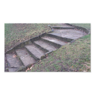 High Park Stone Stairs Photo Print