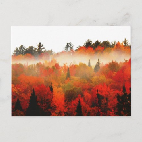 High Peaks Adirondacks Autumn Mountains Forest Postcard