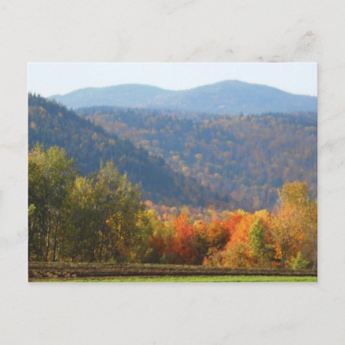 High Peaks Adirondacks Autumn Mountains Forest Postcard