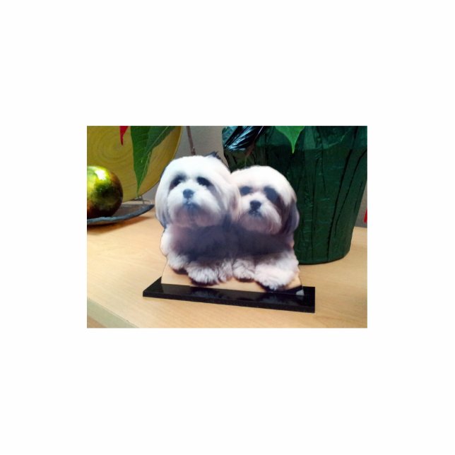 High Quality Custom Acrylic Photo Sculpture (Front)