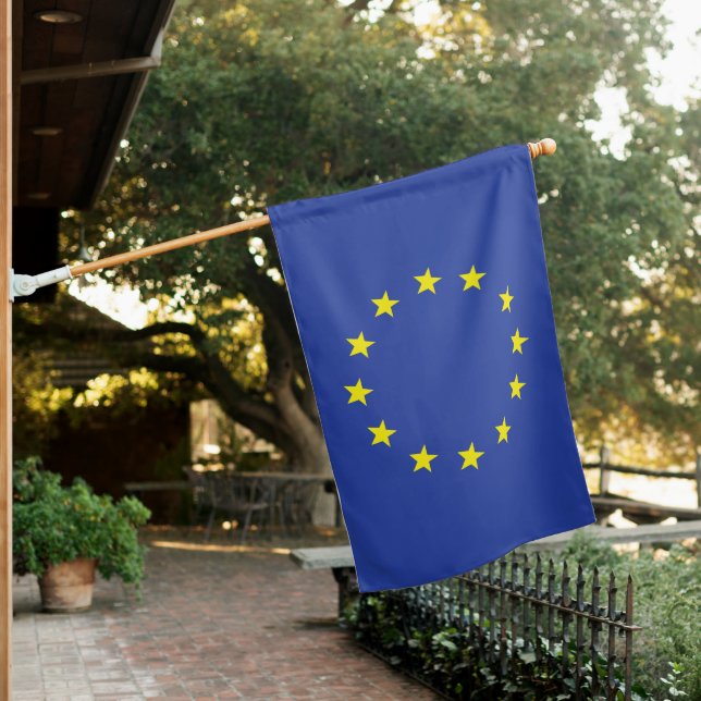 High-quality European Union flag (In SItu)