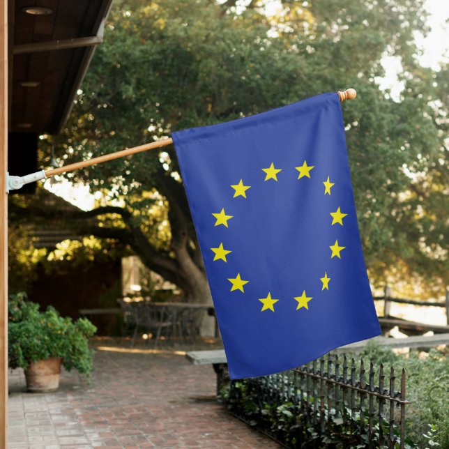 High-quality European Union flag (In SItu)
