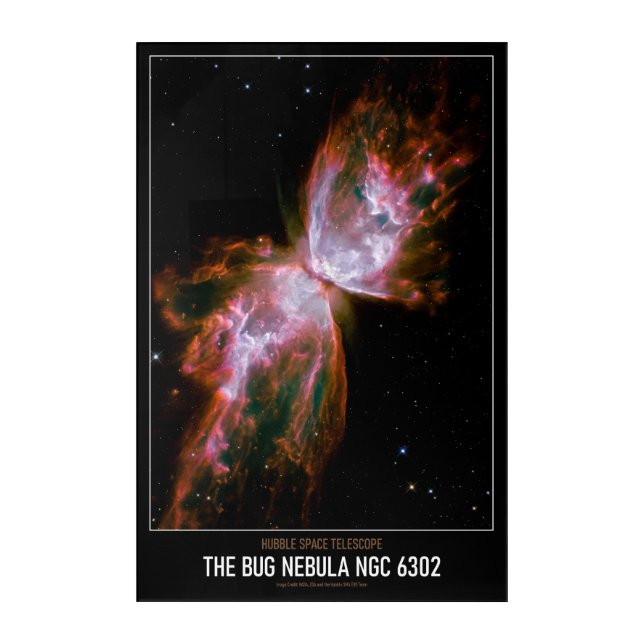High Resolution Astronomy The Bug Nebula NGC 6302 Acrylic Print (Front)