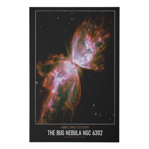High Resolution Astronomy The Bug Nebula NGC 6302 Faux Canvas Print