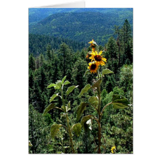 High Road to Taos Cards