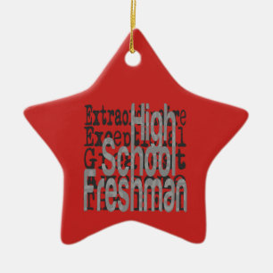 High School Freshman Extraordinaire Ceramic Ornament