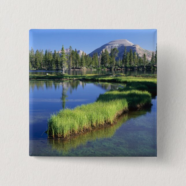 HIGH UINTAS WILDERNESS, UT, US, penisula, Button (Front)