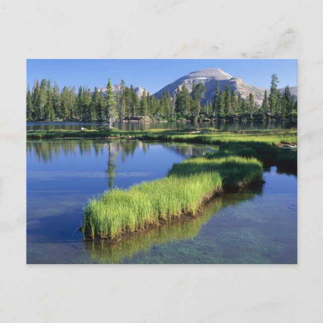 HIGH UINTAS WILDERNESS, UT, US, penisula, Postcard (Front)