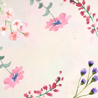 High Waisted Capris for Women