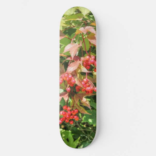 Highbush Cranberries Skateboard Deck (Front)