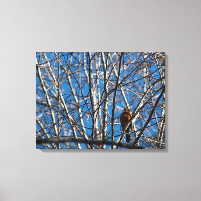 Higher Up Canvas Print (Front)