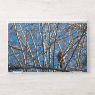 Higher Up HP Laptop Skin