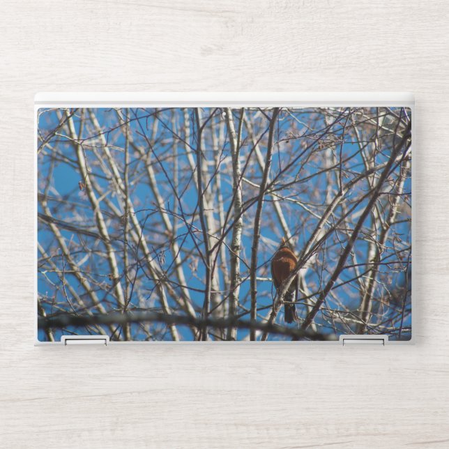 Higher Up HP Laptop Skin (Front)
