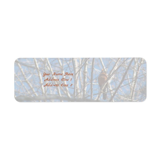 Higher Up Label (Front)