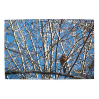 Higher Up Metal Print