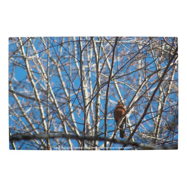 Higher Up Metal Print (Front)