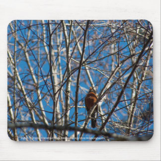 Higher Up Mouse Pad