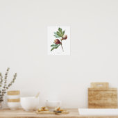 HIGHEST QUALITY Botanical print of Fig | Zazzle