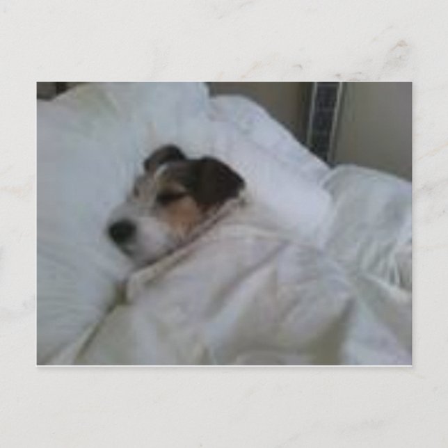 Highest Quality Postcards (Front)