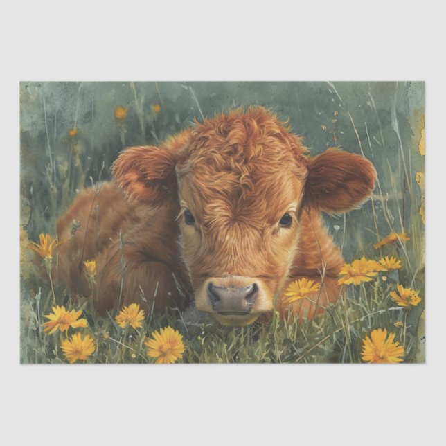 Highland Baby Cow Tissue Paper (Front)