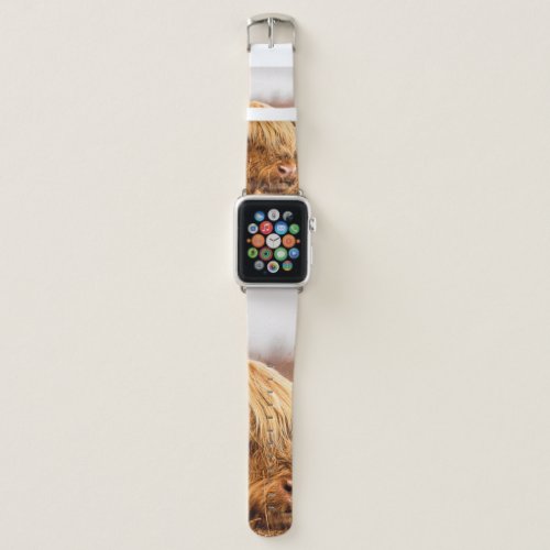HIGHLAND CATTLE APPLE WATCH BAND