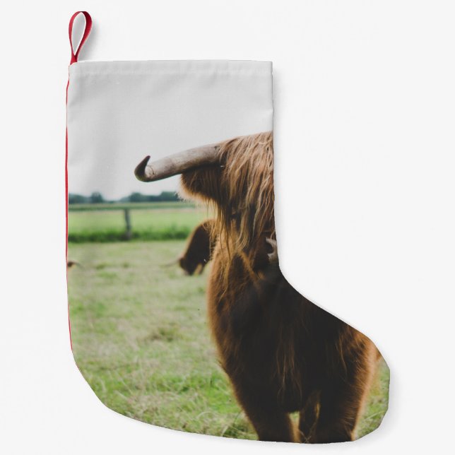 HIGHLAND CATTLE AT THE FIELD DURING DAY SMALL CHRISTMAS STOCKING (Front)