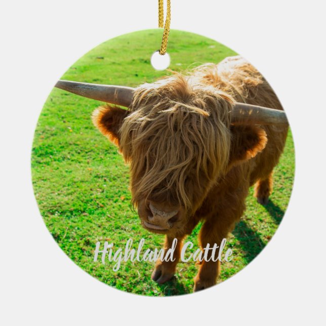 Highland cattle bovine for animal and farm lover ceramic ornament (Front)