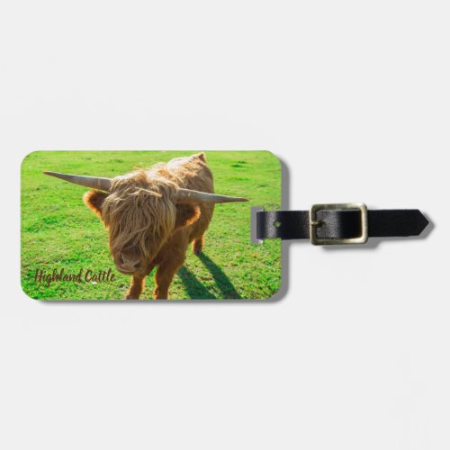 Highland cattle bovine for animal and farm lover luggage tag