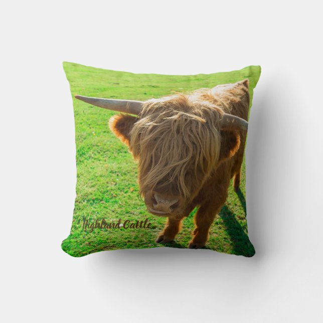 Highland cattle bovine for animal and farm lover throw pillow (Front)