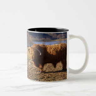 Highland Cattle Bull, Scotland Two-Tone Coffee Mug