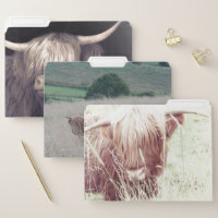 Highland Cattle File Folders