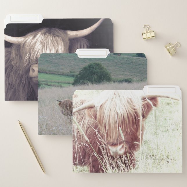 Highland Cattle File Folders (Set)