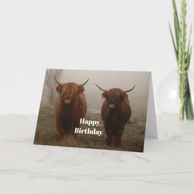 Highland Cattle Fog Photo Birthday Card (Front)