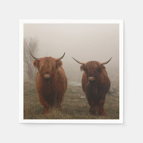 Highland Cattle Fog Photo Napkins