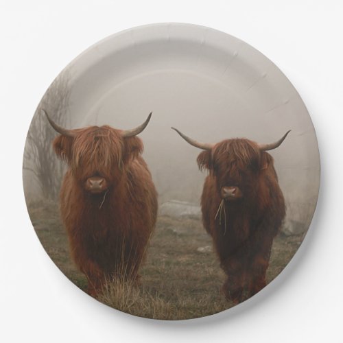 Highland Cattle Fog Photo Paper Plates