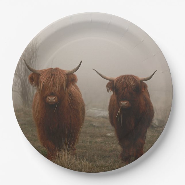 Highland Cattle Fog Photo Paper Plates (Front)