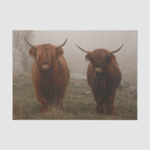 Highland Cattle Fog Photo Tissue Paper