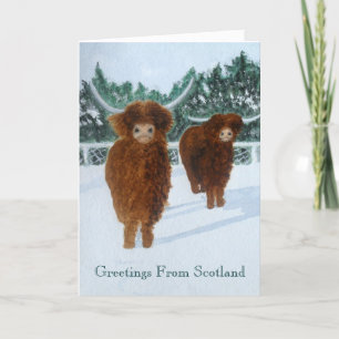 Highland Cattle in Winter Holiday Card