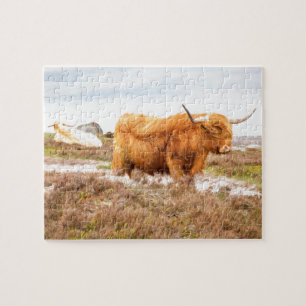 Highland Cattle Jigsaw Puzzle