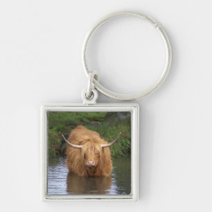 Highland Cattle Keychain