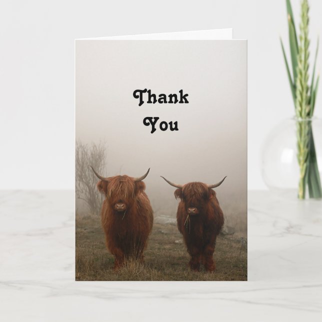 Highland Cattle Letterpress Thank You Card (Front)