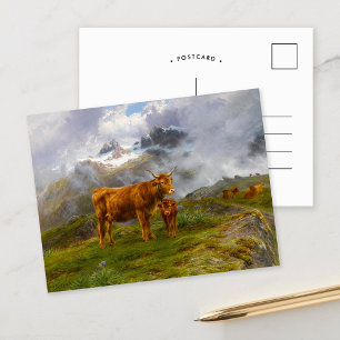 Highland Cattle Rosa Bonheur Postcard