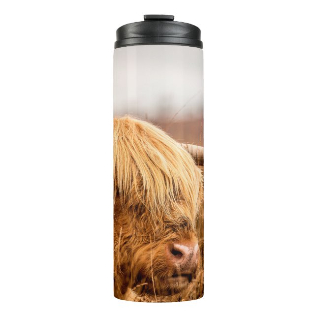 HIGHLAND CATTLE THERMAL TUMBLER (Front)